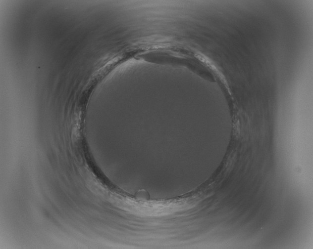 X0000080730018200701021132