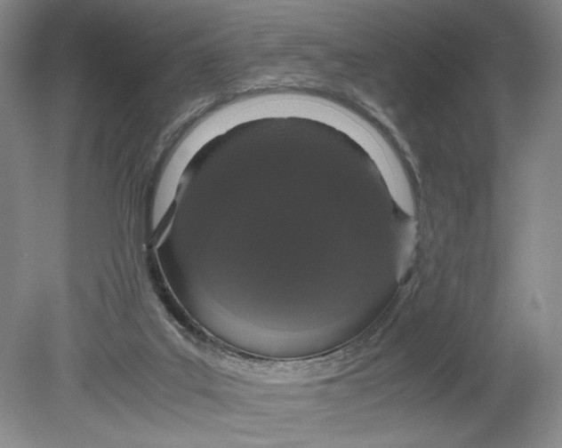 X0000080730019200701021132