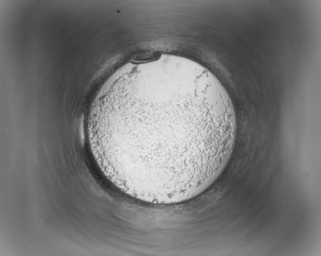 X0000080730020200701021132