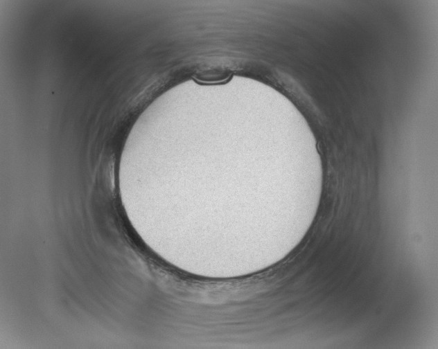 X0000080730021200701021132