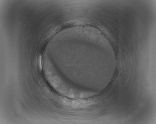 X0000080730022200701021132