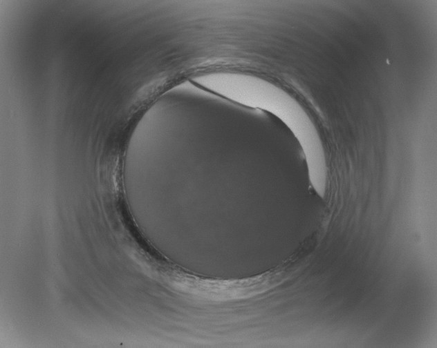 X0000080730023200701021132