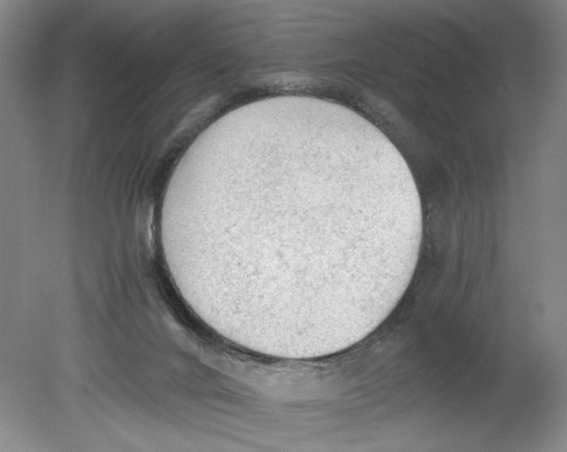 X0000080730024200701021132