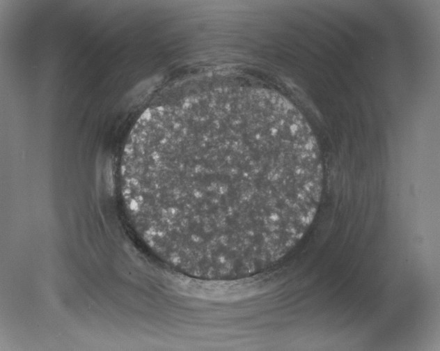 X0000080730026200701021132