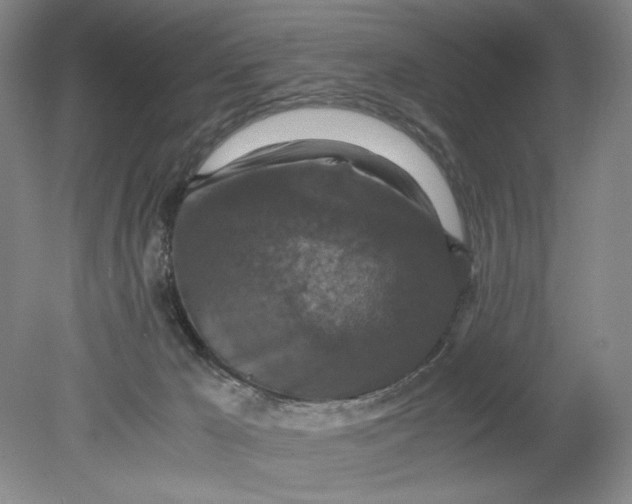 X0000080730029200701021132