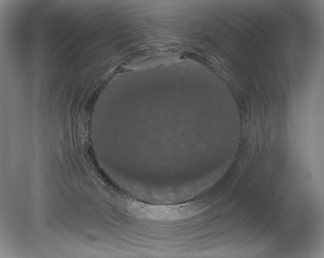 X0000080730030200701021132