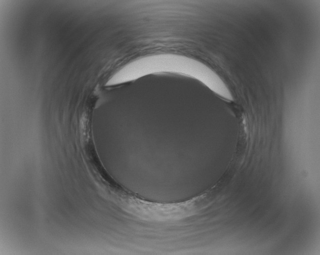 X0000080730031200701021132