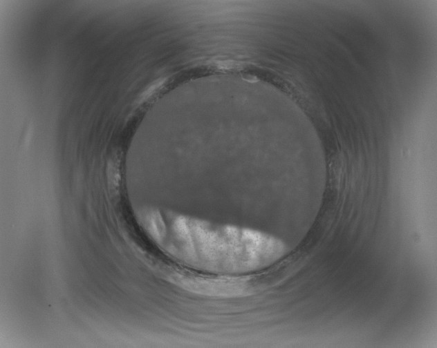 X0000080730032200701021132