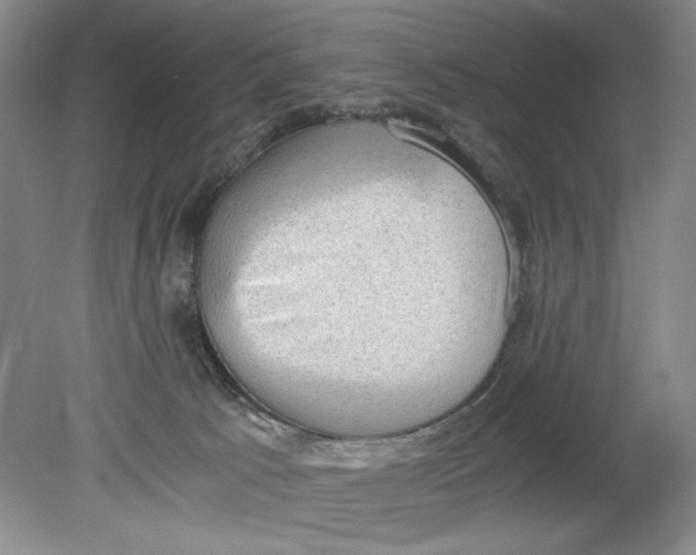 X0000080730033200701021132