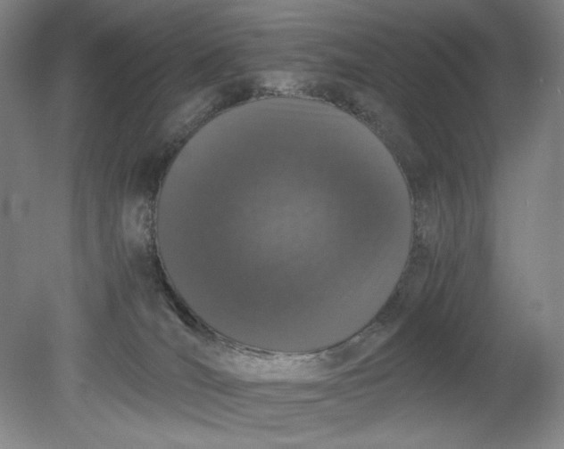 X0000080730036200701021132