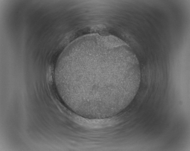 X0000080730038200701021132