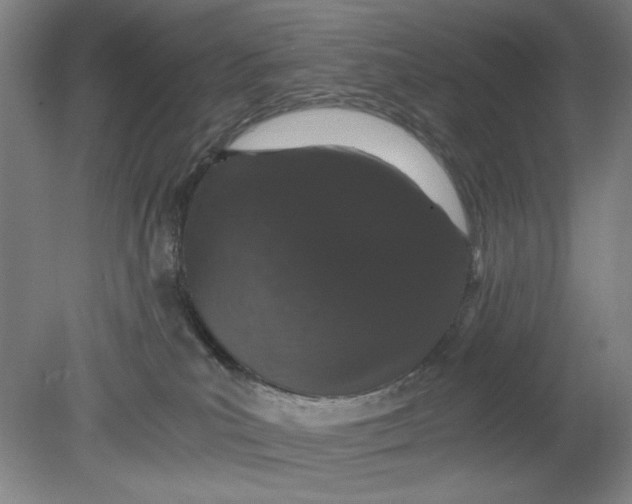 X0000080730039200701021132