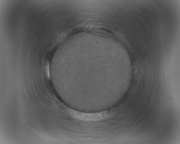 X0000080730042200701021132