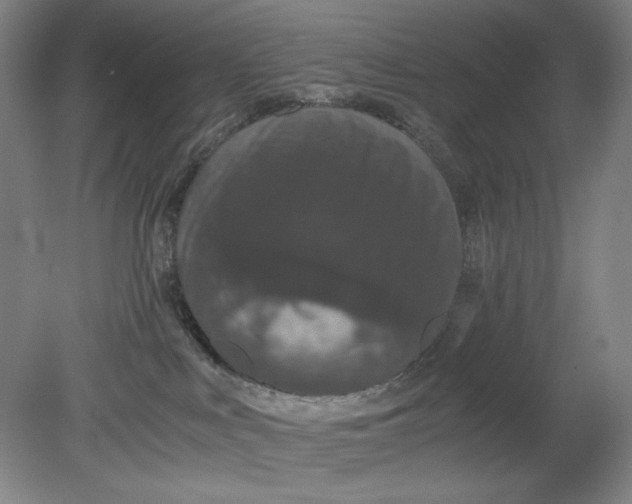 X0000080730043200701021132