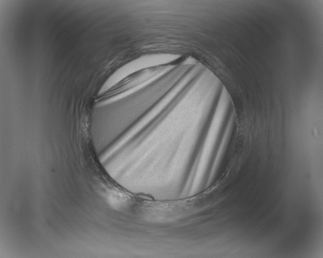 X0000080730045200701021132