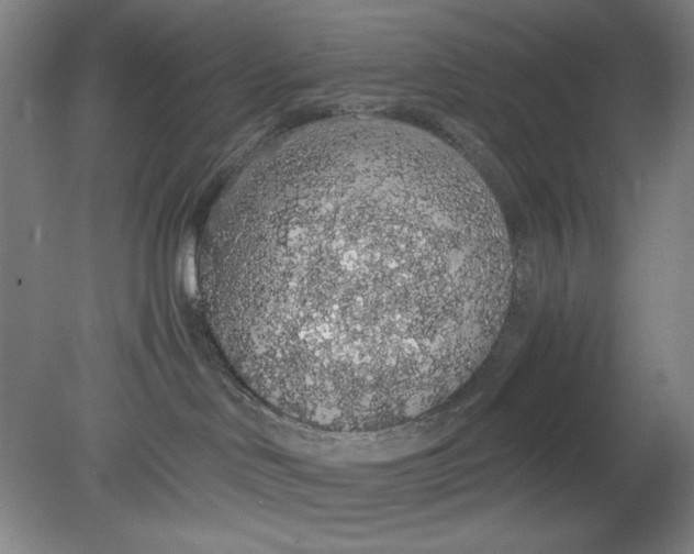 X0000080730046200701021132