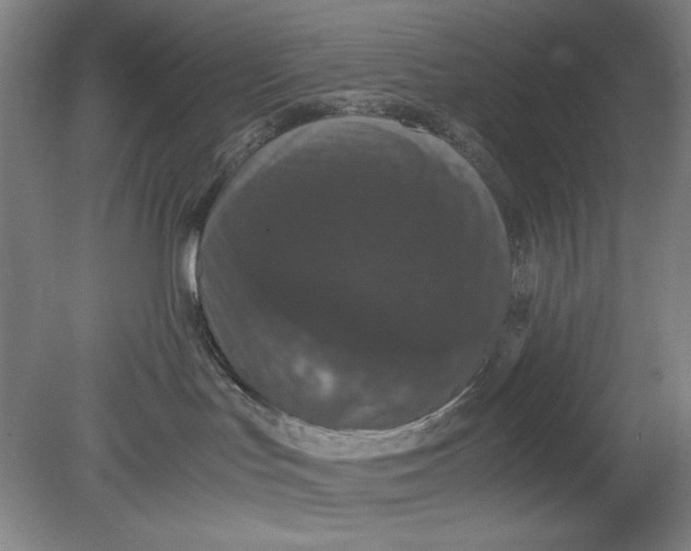 X0000080730047200701021132