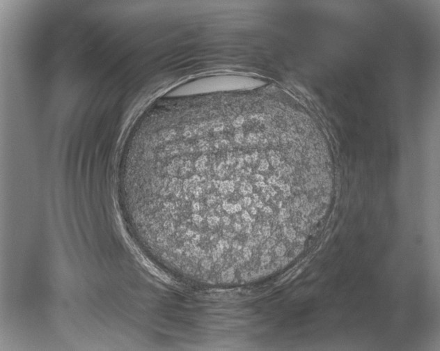 X0000080730049200701021131