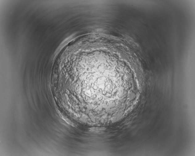 X0000080730051200701021131