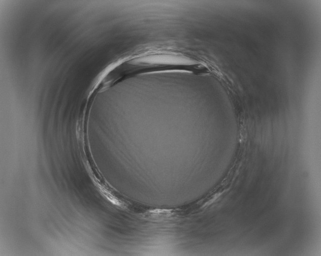 X0000080730052200701021131