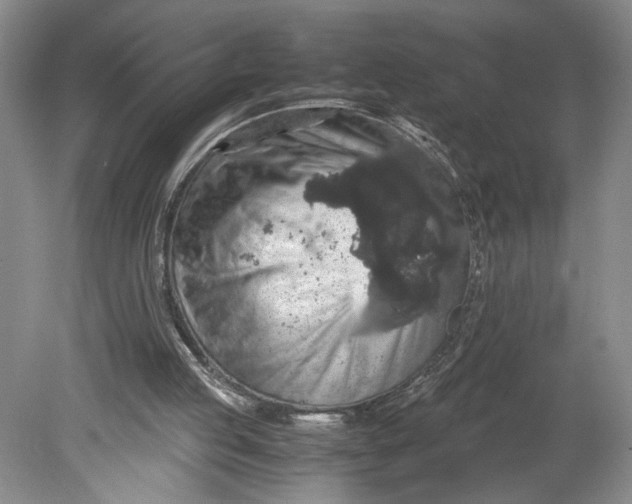 X0000080730053200701021131