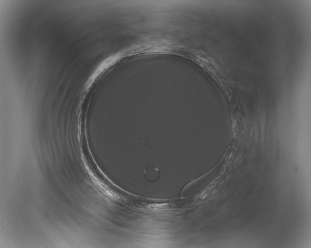 X0000080730054200701021131