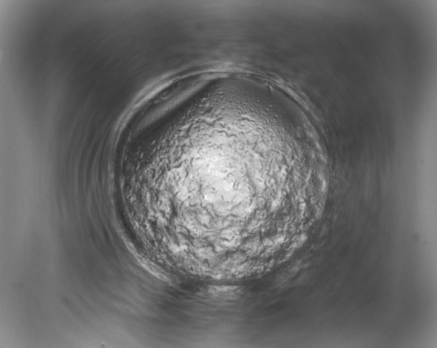 X0000080730055200701021131