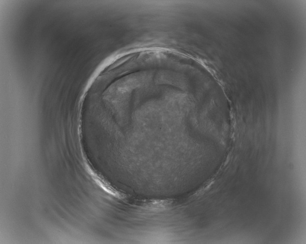 X0000080730056200701021131