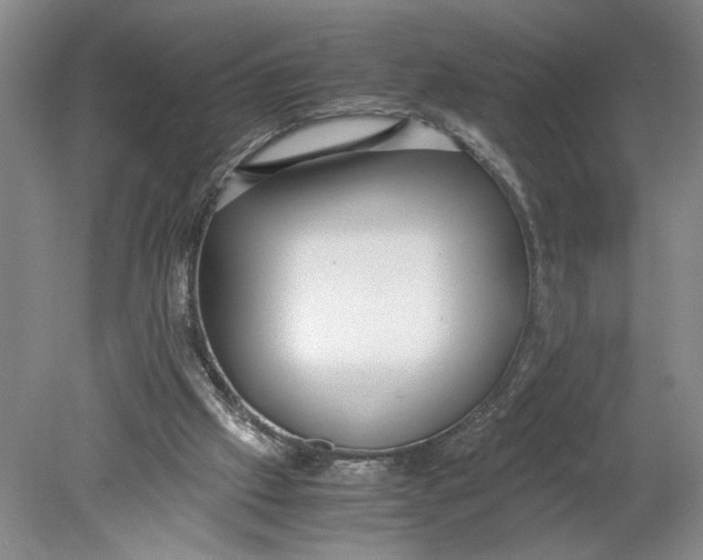 X0000080730057200701021131