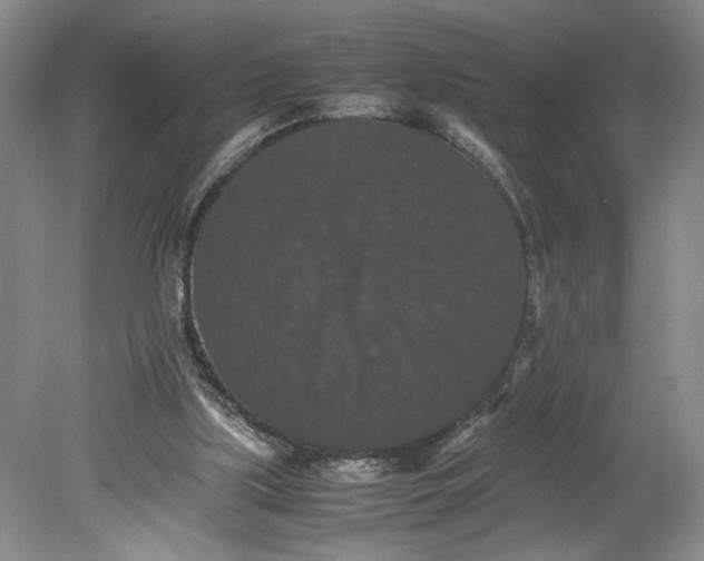 X0000080730059200701021131