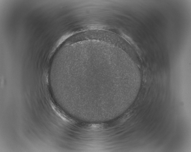 X0000080730060200701021131