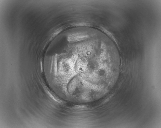 X0000080730061200701021131