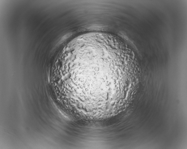 X0000080730062200701021131