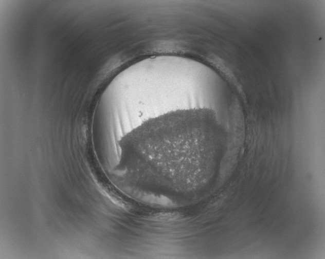 X0000080730063200701021131