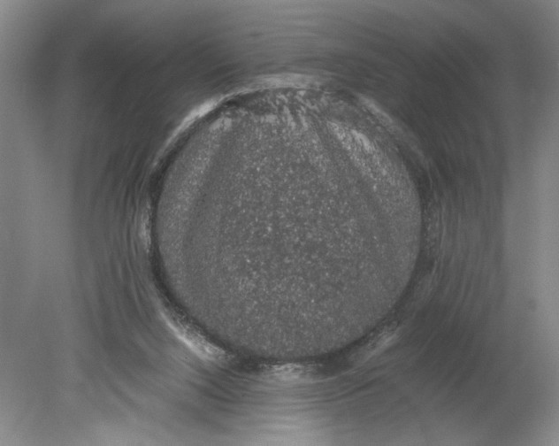 X0000080730064200701021131