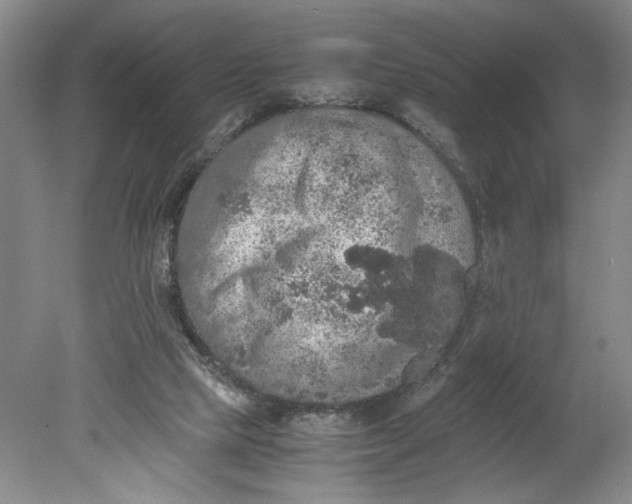 X0000080730065200701021131