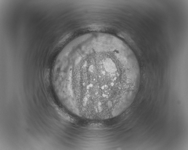 X0000080730066200701021131