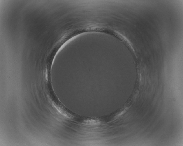 X0000080730067200701021131