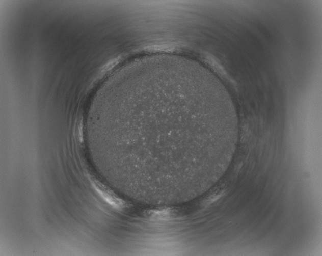 X0000080730068200701021131