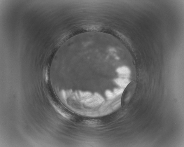 X0000080730069200701021131