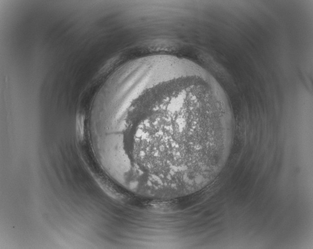 X0000080730070200701021132