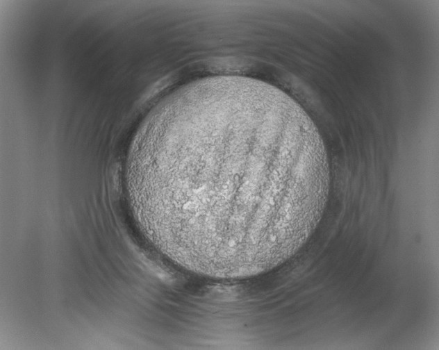 X0000080730071200701021132