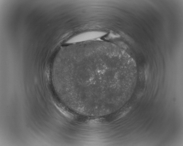 X0000080730072200701021132