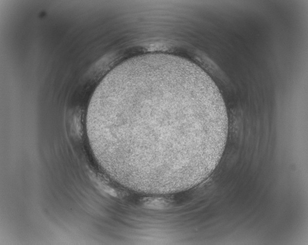 X0000080730074200701021132