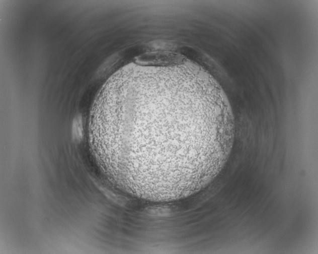 X0000080730075200701021132