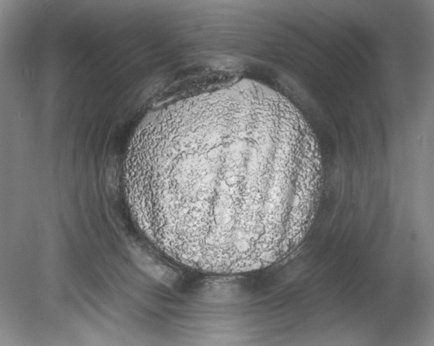 X0000080730078200701021132