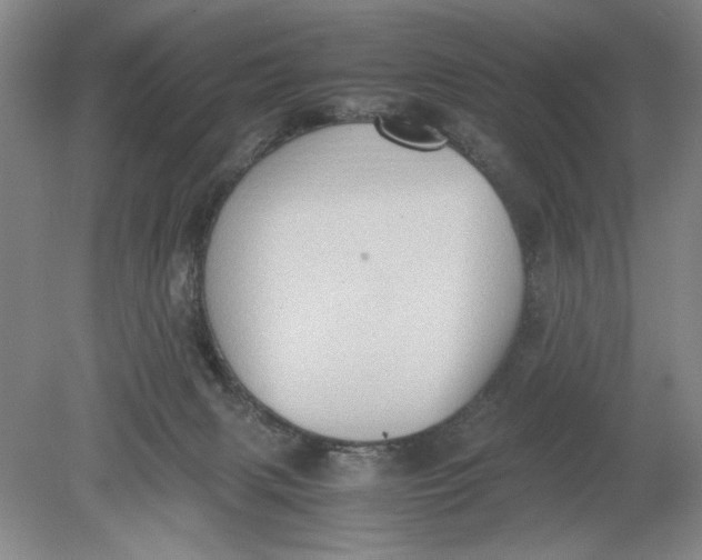 X0000080730079200701021132