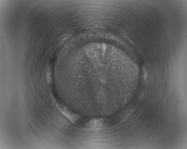 X0000080730080200701021132