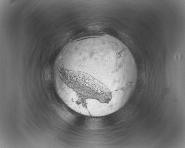 X0000080730081200701021132