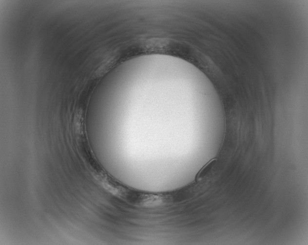 X0000080730083200701021132